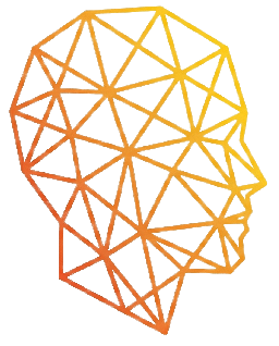 Face mesh